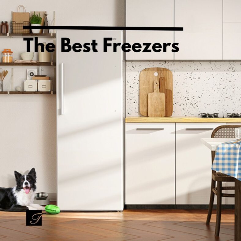 The Best Freezers