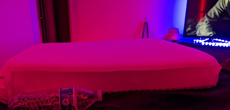 Purple Pillow Reviews