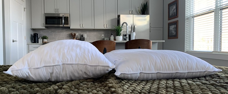 Beckham Hotel Collection Standard Bed Pillows Reviews
