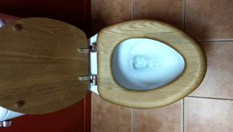 TOTO Entrada Two-Piece Toilet Reviews